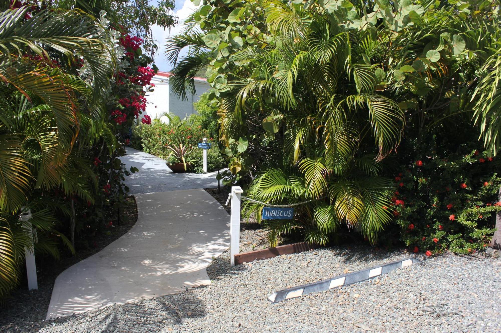 Hibiscus Suite At Sunset Serenade Cruz Bay Eksteriør billede